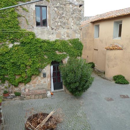 Ferienwohnung La Giuliva Di Pianiano Cellere Exterior foto