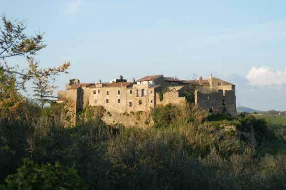 Ferienwohnung La Giuliva Di Pianiano Cellere Exterior foto