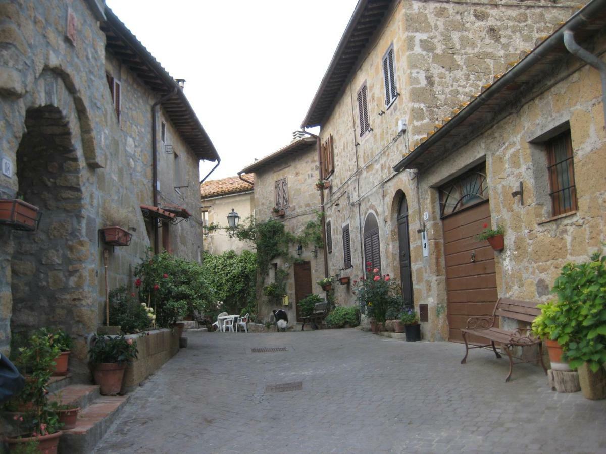 Ferienwohnung La Giuliva Di Pianiano Cellere Exterior foto
