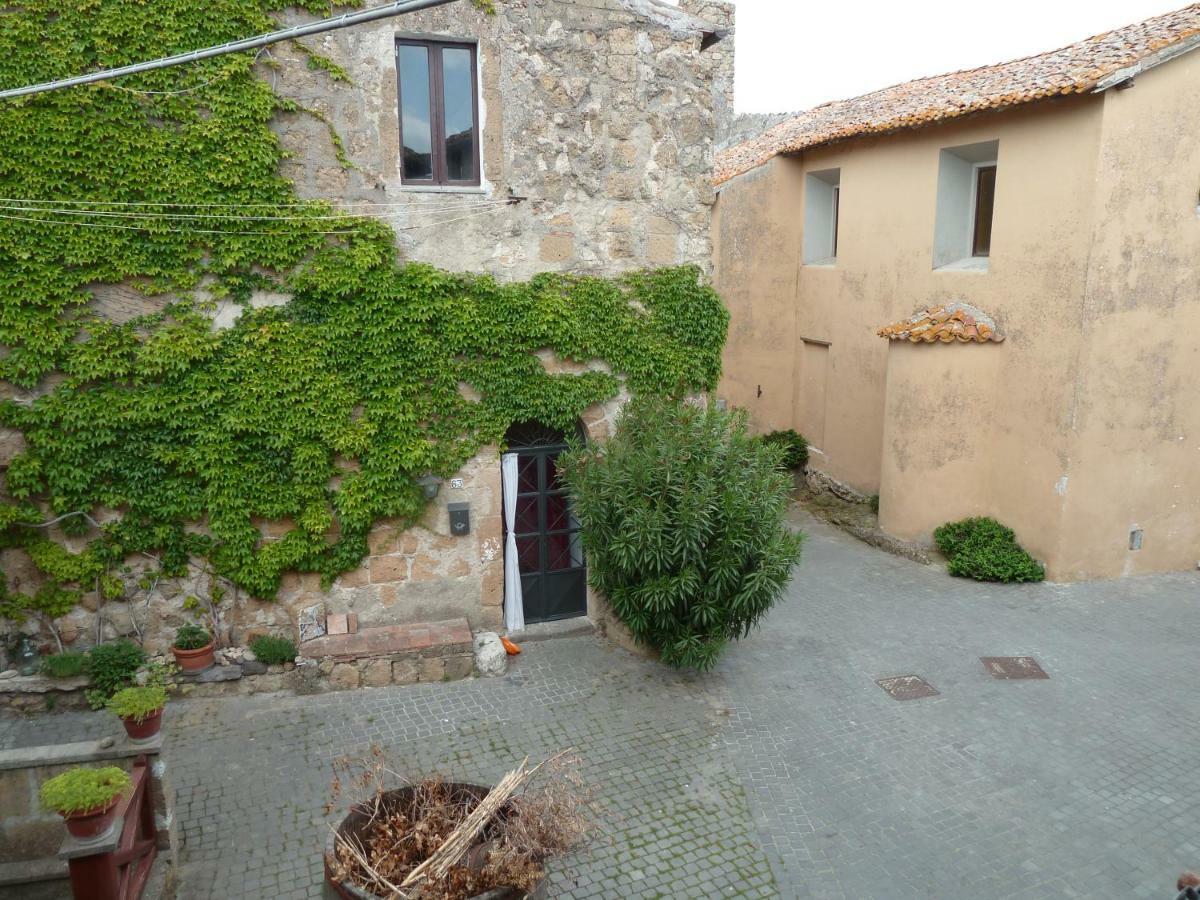 Ferienwohnung La Giuliva Di Pianiano Cellere Exterior foto